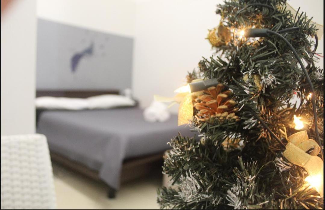 Kimia Home, Centro 莫杜尼奥 外观 照片